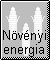 N�v�nyi eredet� energia
